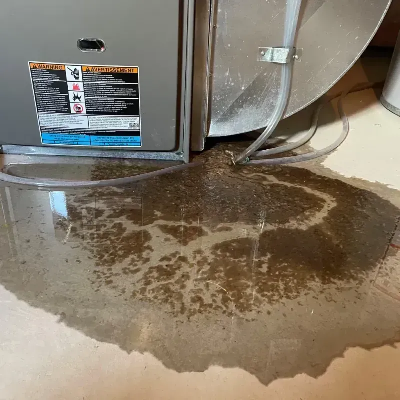 Appliance Leak Cleanup in Bayou Vista, TX